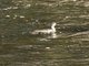 Image from 2016-09-06