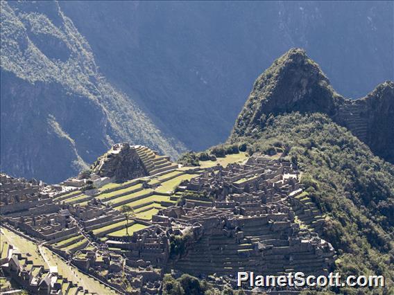 Another View of Machu Picchu