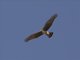 Image from 2016-09-07