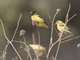 Image from 2016-09-07