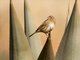 Image from 2016-09-07