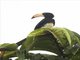 Image from 2017-01-01