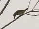 Image from 2017-01-01