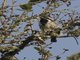 Image from 2017-01-02