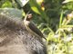 Image from 2017-01-02