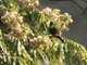 Image from 2017-01-04