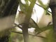 Image from 2017-01-05