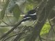 Image from 2017-01-05