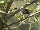 Image from 2017-01-06