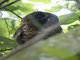 Image from 2017-01-07