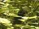 Image from 2017-01-07