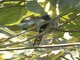 Image from 2017-01-07
