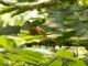 Image from 2017-01-07