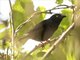 Image from 2017-01-07