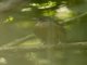 Image from 2017-01-07