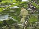 Image from 2017-01-07