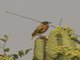 Image from 2017-01-09