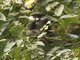 Image from 2017-01-09