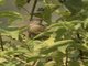 Image from 2017-01-11