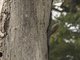 Image from 2017-01-14