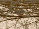 Image from 2017-01-15