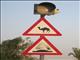 Watch out for camels