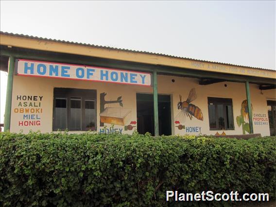 Home of Honey