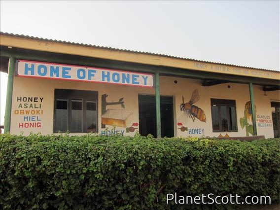 Home of Honey