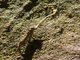 Image from 2017-11-04
