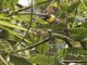Image from 2017-11-06