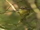 Image from 2017-11-07