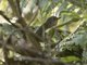 Image from 2017-11-07