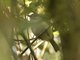 Image from 2017-11-07