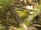 Image from 2017-11-07