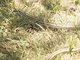 Image from 2017-11-09
