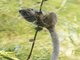 Image from 2017-11-09