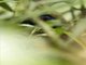 Image from 2017-11-11