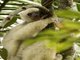 Image from 2017-11-11