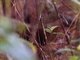Image from 2017-11-16