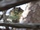 Image from 2017-11-16
