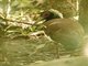 Image from 2017-11-17