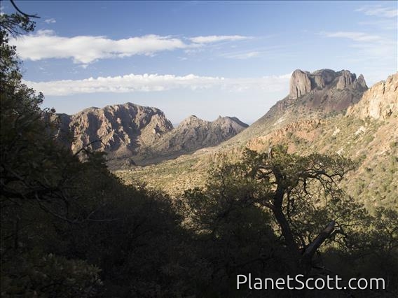 Chisos Mountains