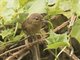 Image from 2018-05-06