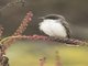 Image from 2018-09-05